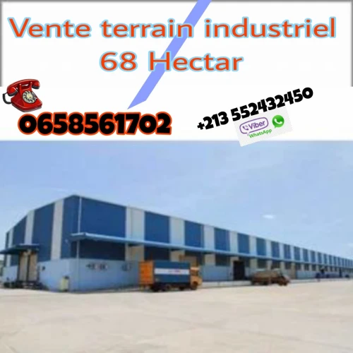 Vente Terrain Mascara Mohammadia