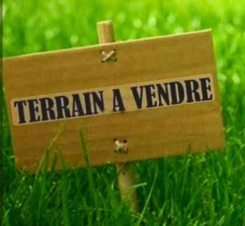 Vente Terrain Alger Ain benian