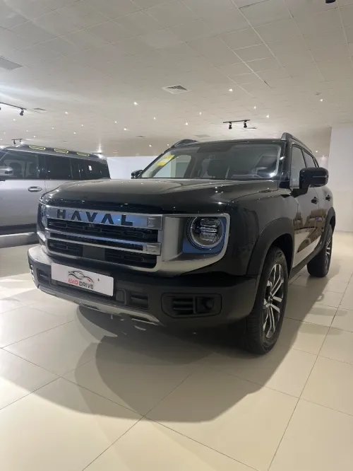 HAVAL Big dog 2025 Labrador edition