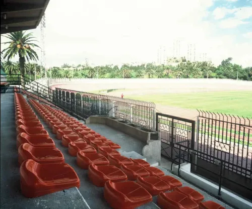 Fauteuils De Conférence / Chaises De Stade