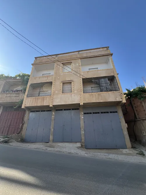 Vente Villa Aïn Defla Miliana