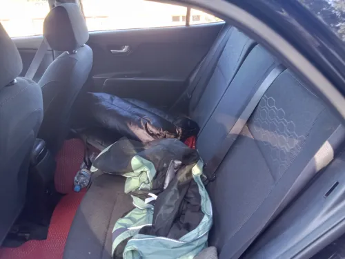 Kia Rio 5 portes 2019 Funny