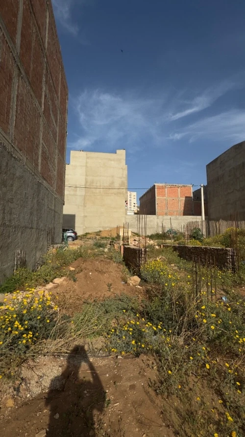 Vente Terrain Mostaganem Mostaganem