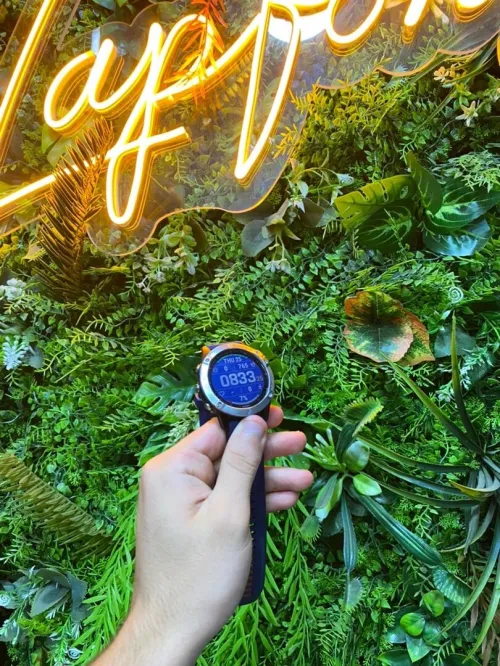 GARMIN FENIX 6 GORILLA GLASS