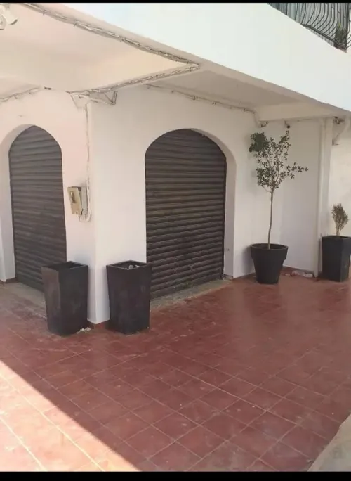 Vente Local Alger Zeralda