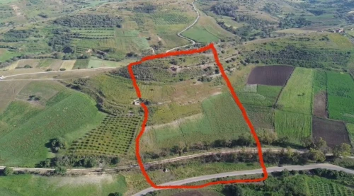 Vente Terrain Tlemcen Nedroma