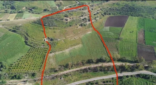 Vente Terrain Tlemcen Nedroma
