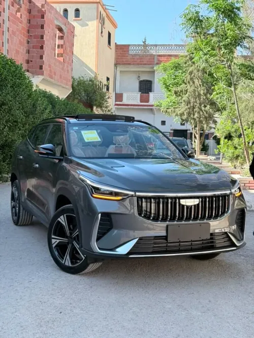 Geely Cityray  2026 10 th Anniversary champion edition 