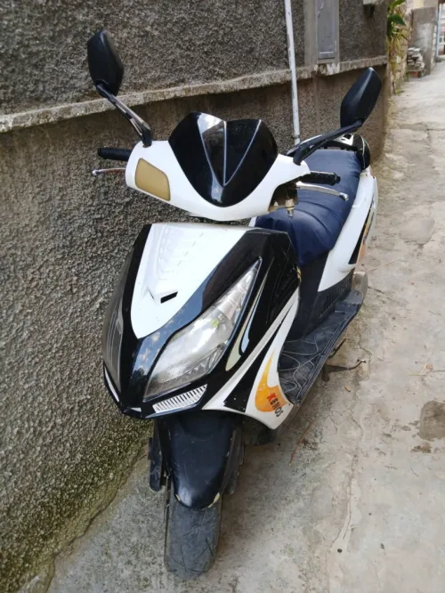 Scooter Paladin 