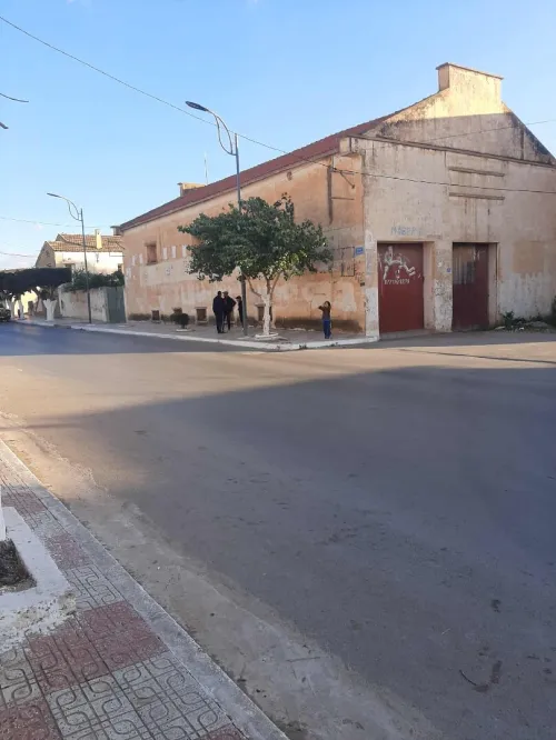 Location Hangar - Usine Mostaganem Ain nouissi