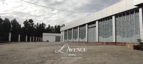 Location Hangar - Usine Boumerdès Boudouaou