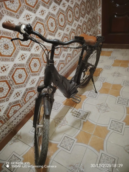 Velo electrique gitane
