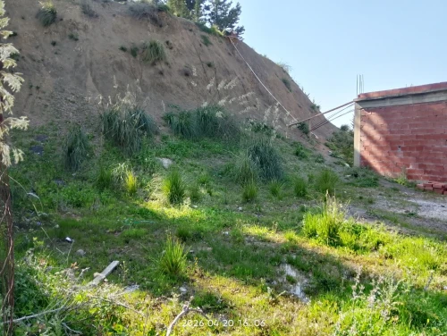 Vente Terrain Blida Bouarfa