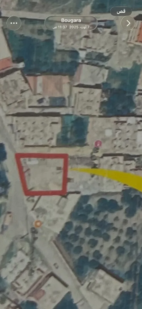 Vente Terrain Blida Ouled selama