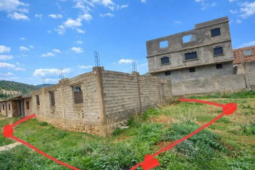 Vente Terrain Tlemcen Beni mester