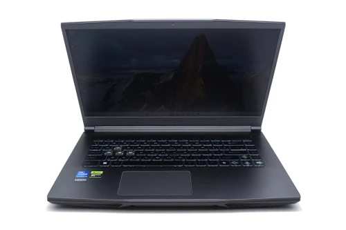 MSI 12th Gen Intel(R) Core(TM) i5-12450H (2.00 GHz) RTX 3050