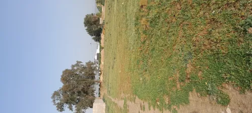 Location Terrain Boumerdès Ouled moussa