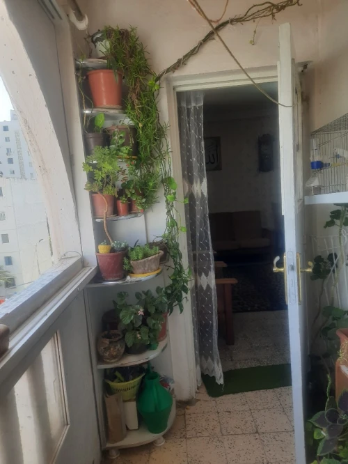 Vente Appartement F5 Alger Ain naadja