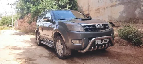 Great Wall hover 2010 hover