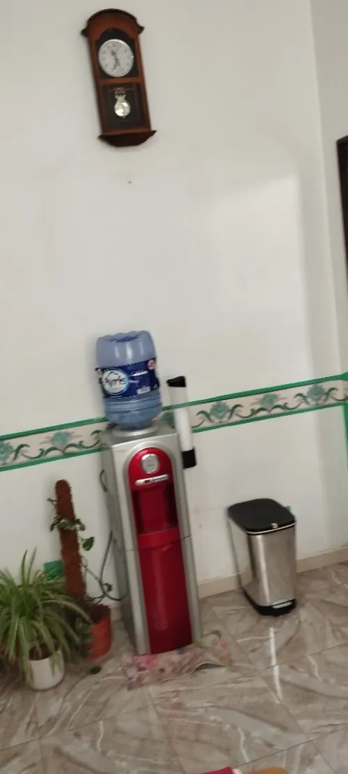 Location Appartement F3 Alger Bab el oued