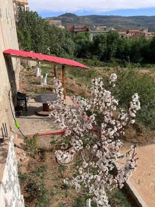 Location Villa Tlemcen Tlemcen