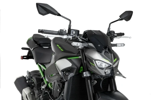 Aileron  D12 z900 2025