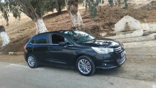 Citroen C4 Picasso 2013 5 Portes