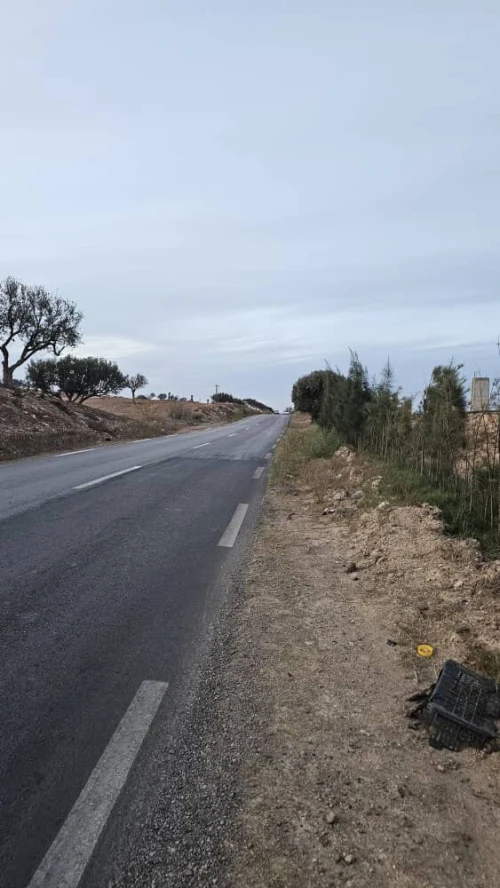 Vente Terrain Agricole Oran Boufatis 20