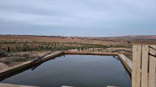 Vente Terrain Agricole Oran Boufatis 16