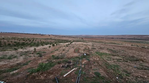 Vente Terrain Agricole Oran Boufatis 21