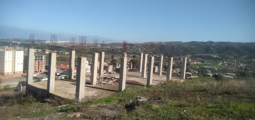 Vente Terrain Boumerdès Ouled moussa