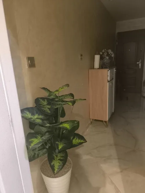 Vente Appartement Studio Alger Bordj el kiffan