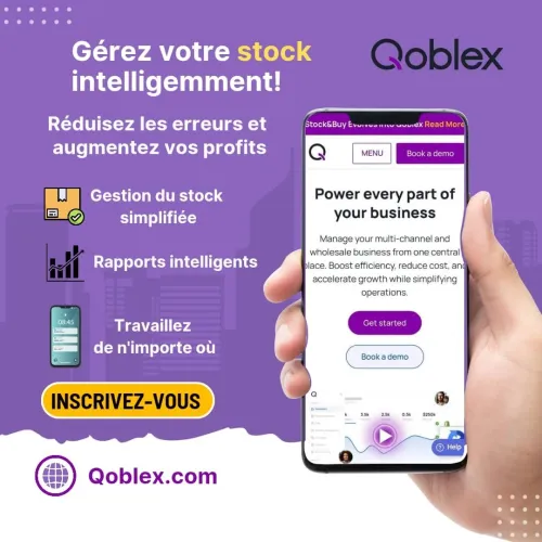 Qoblex : La Solution Innovante pour Optimiser la Gestion de vos Stocks en Algérie (logiciel)