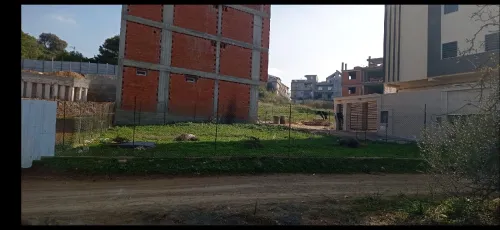 Vente Terrain Tipaza Cherchell