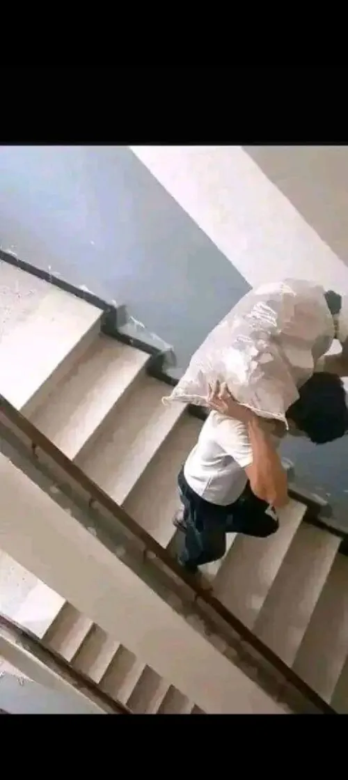 ماصو 