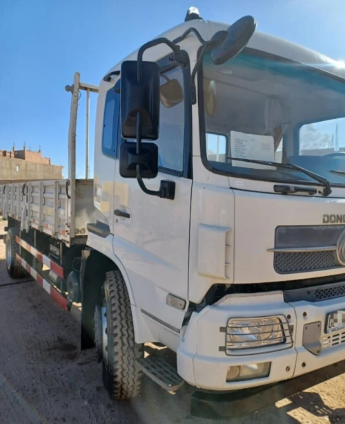 Dong fong 10 ton 2025
