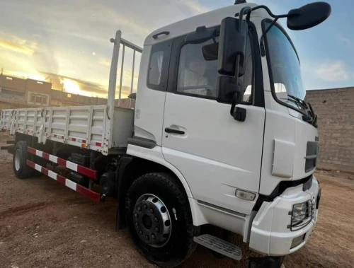 Dong fong 10 ton 2025