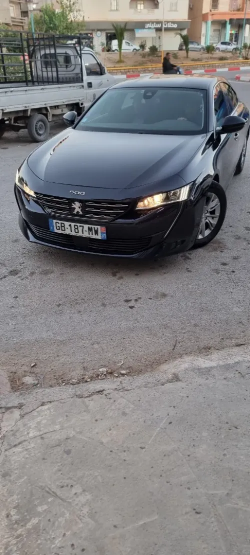 Peugeot 508 2021 Feline