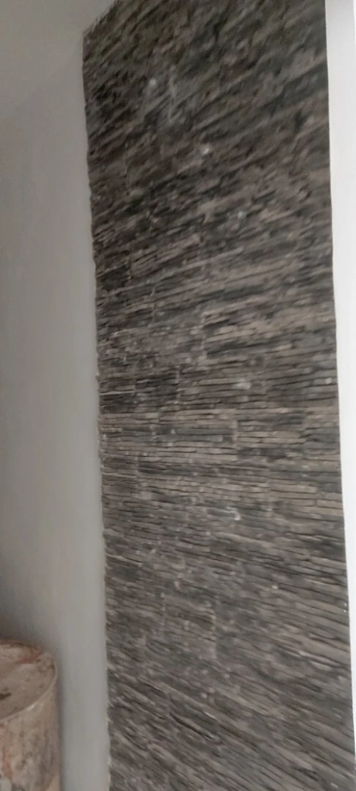 Vente bien immobilier Alger Reghaia