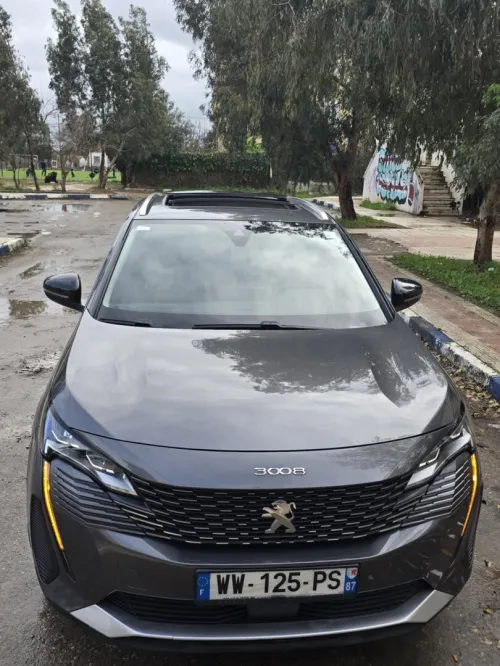 Peugeot 3008 2022 3008