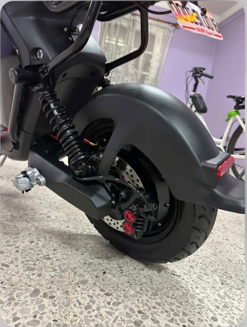 NIU SCOOTER France 2025