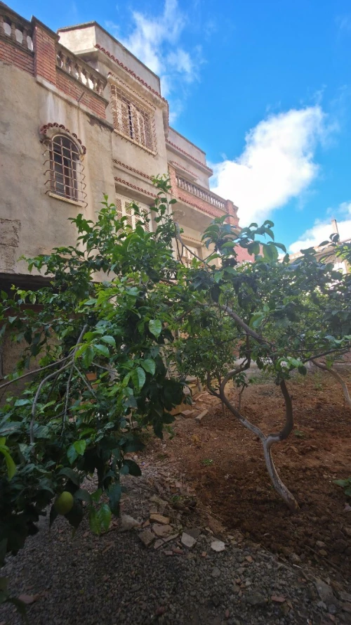 Vente Terrain Alger Dely brahim