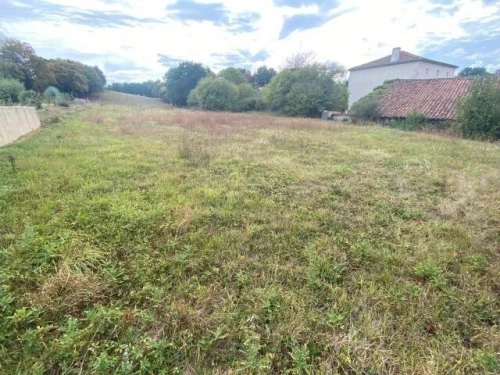 Vente Terrain Alger Said hamdine
