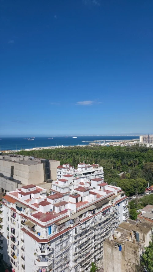Vente Appartement F3 Alger El madania