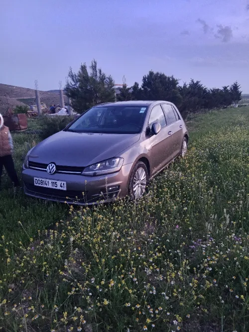 Volkswagen Golf 7 2015 Cup