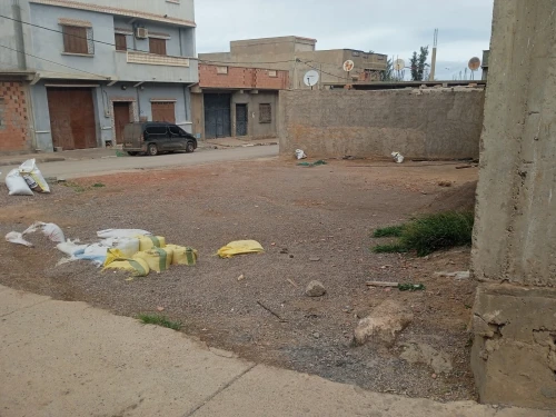 Vente Terrain Aïn Témouchent Ain el arbaa