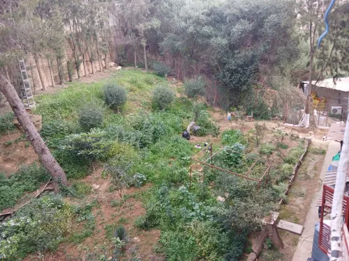 Vente Appartement F4 Alger Dely brahim