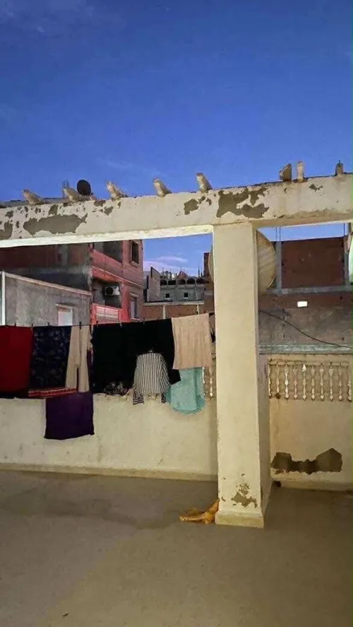 Vente Villa Tipaza Fouka