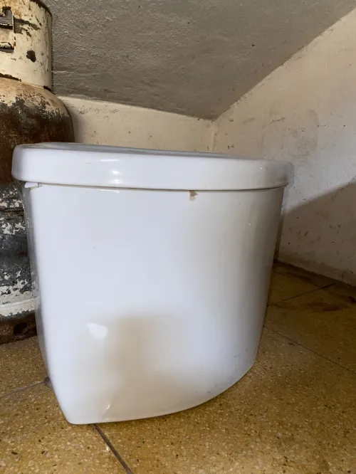 Toilette anglaise