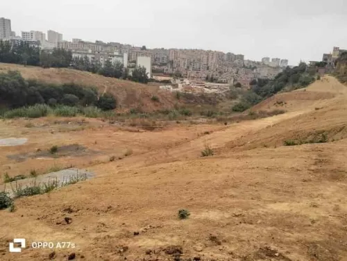 Vente Terrain Alger Saoula